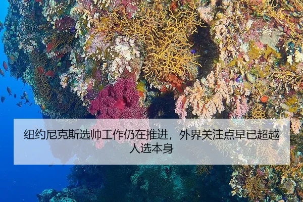 niu-yue-ni-ke-si-xuan-shuai-gong-zuo-reng-zai-tui-jin-wai-jie-guan-zhu-dian-zao-yi-chao-yue-ren-xuan-ben-shen-2-161.jpg